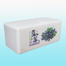 羅定4盒藍(lán)莓泡沫箱