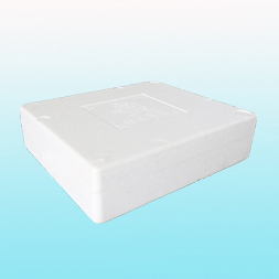 羅定精品草莓泡沫箱